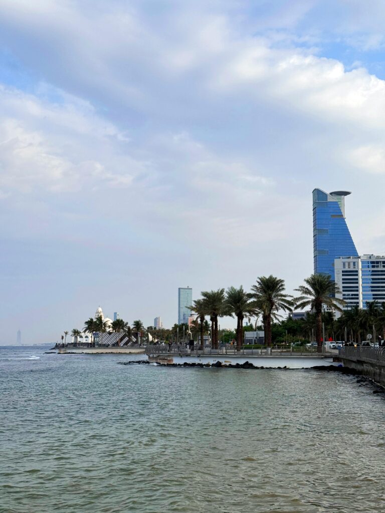 pexels-mdamirumar-34744917-768x1024 دليلي الشخصي لأفضل مدن العمل في السعودية